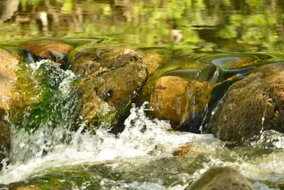 DSC_6375 (Large).JPG